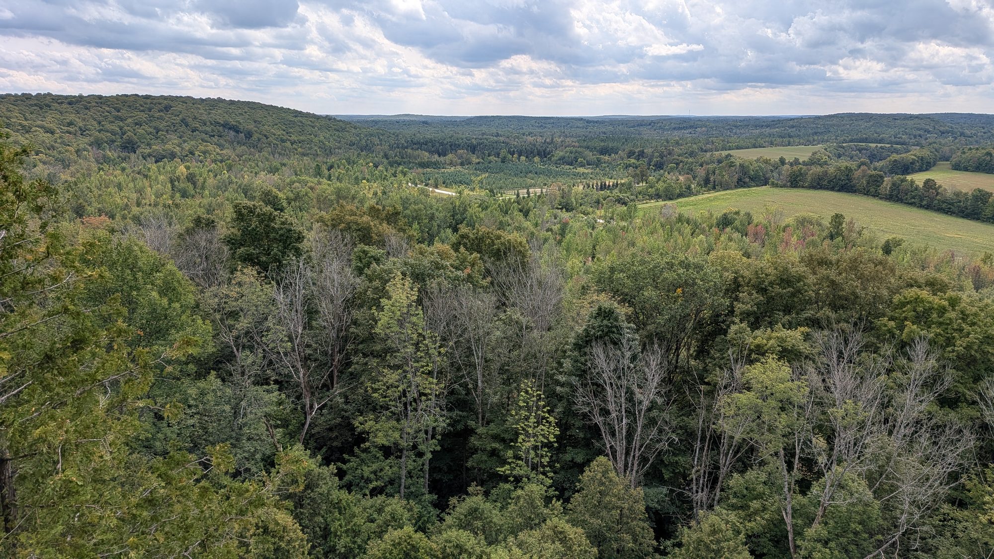 Ontario Fall Colour Forecast and Map | ontariofall.com