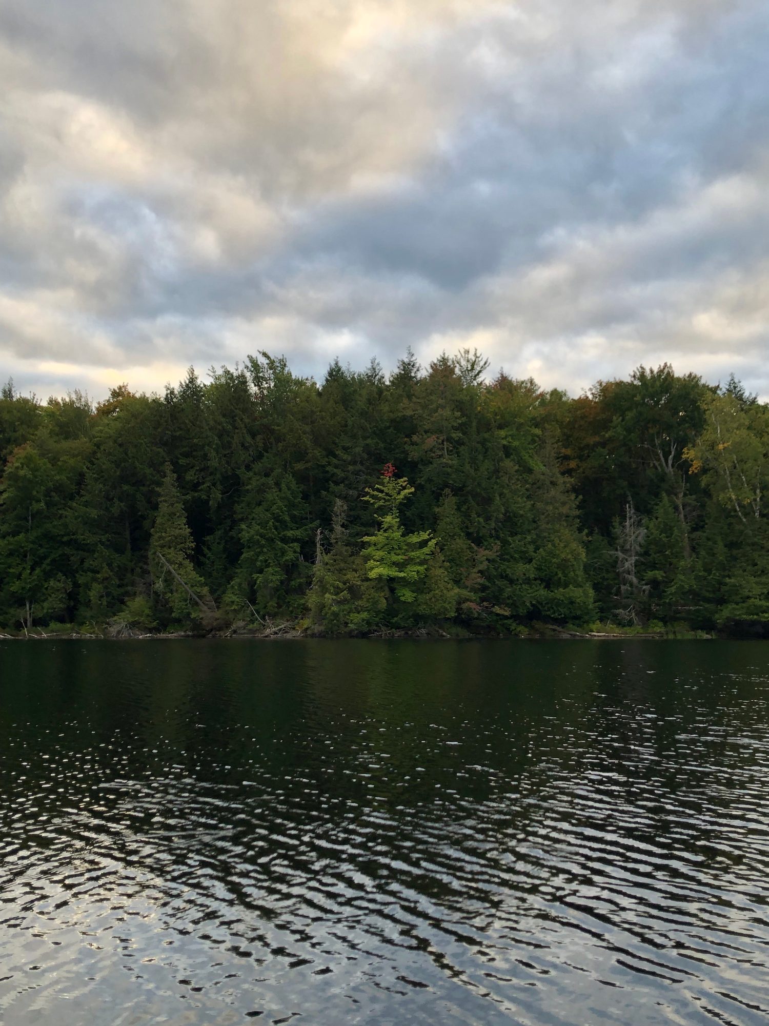 Fall colour at Silent Lake on 2026-09-20