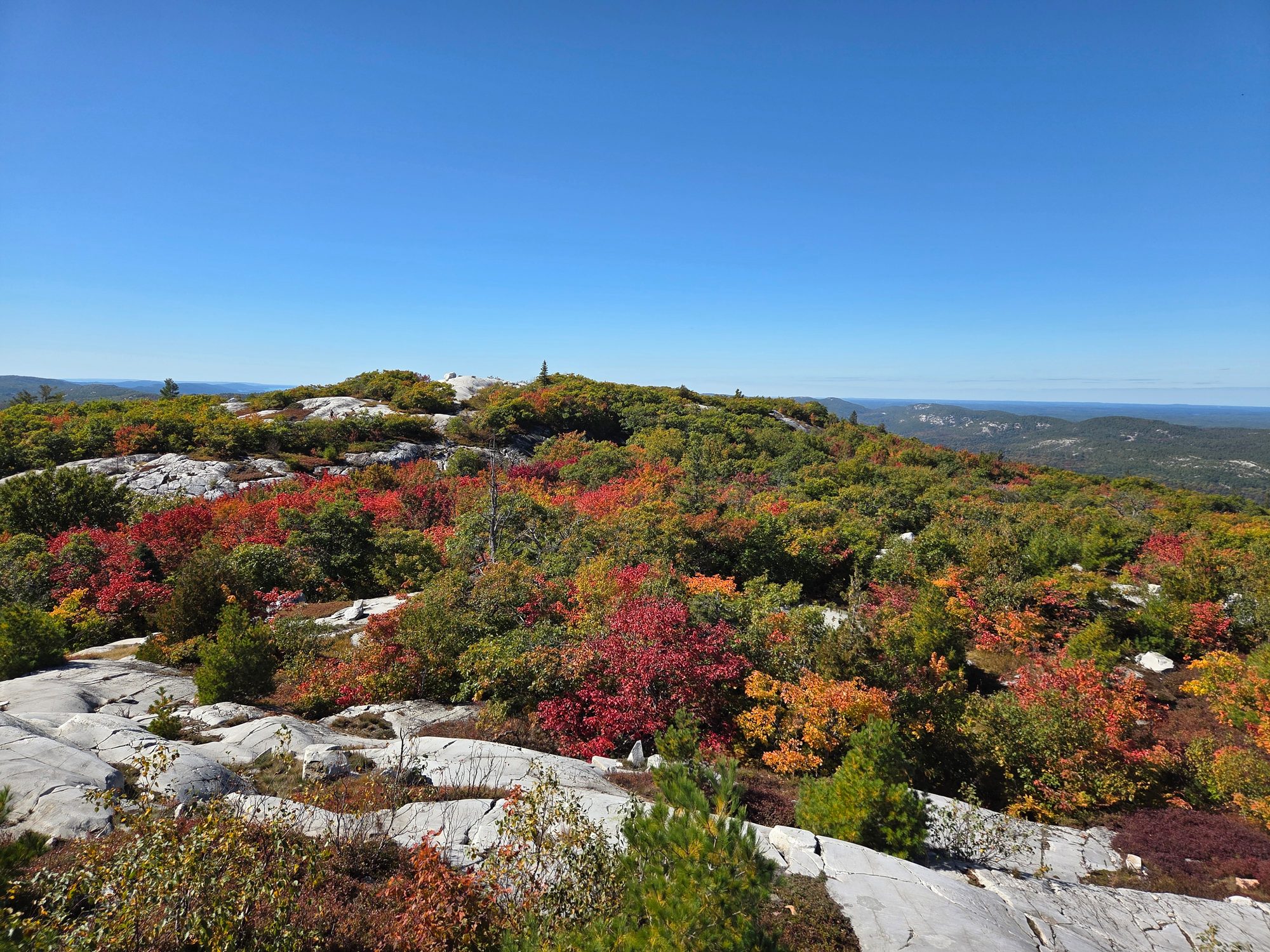 Fall colour at Killarney, Near North, 22 days ago