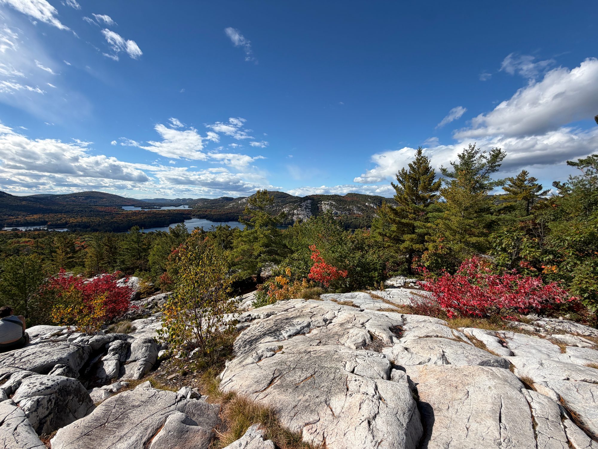 Fall colour at Killarney, Near North, 16 days ago