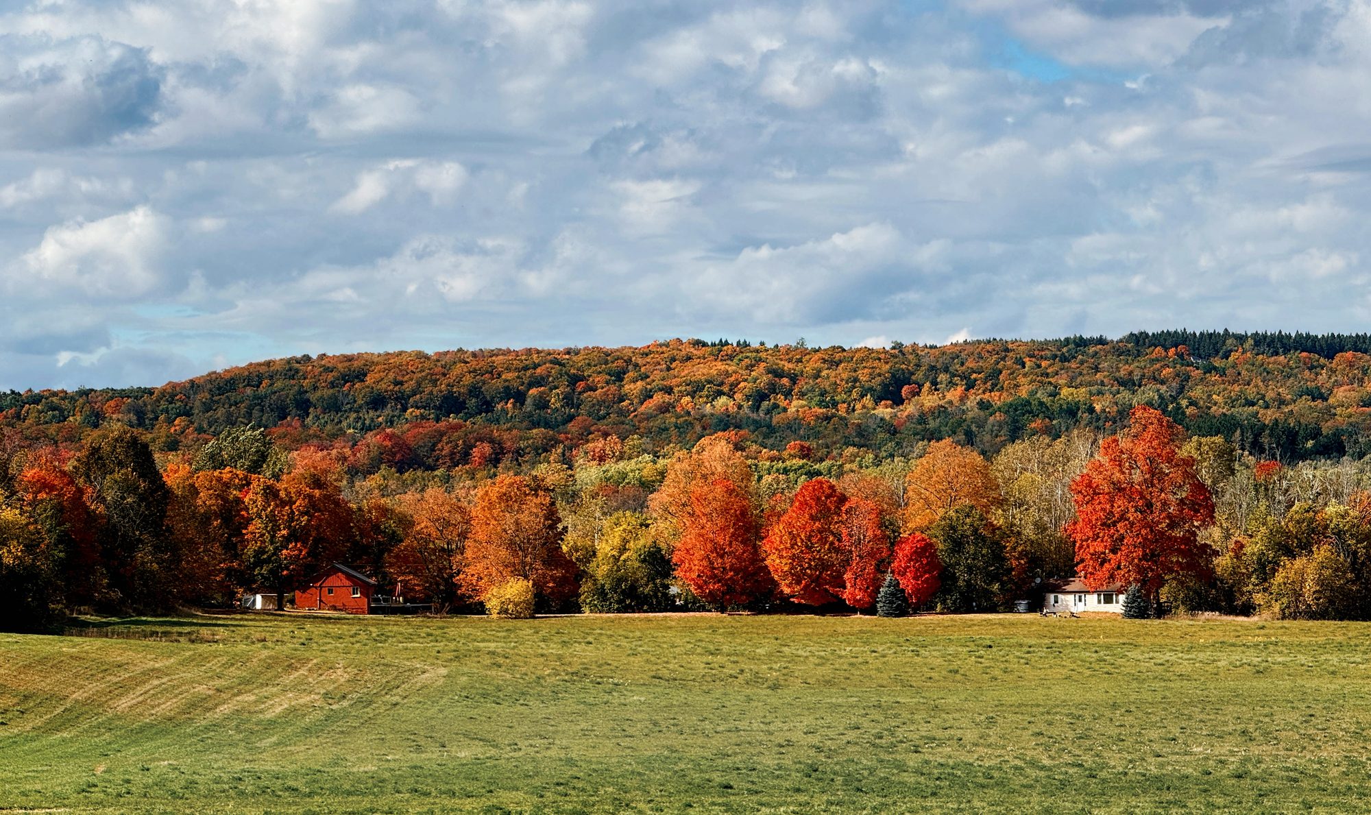 Fall colour at Forks of the Credit, Escarpment, 15 days ago