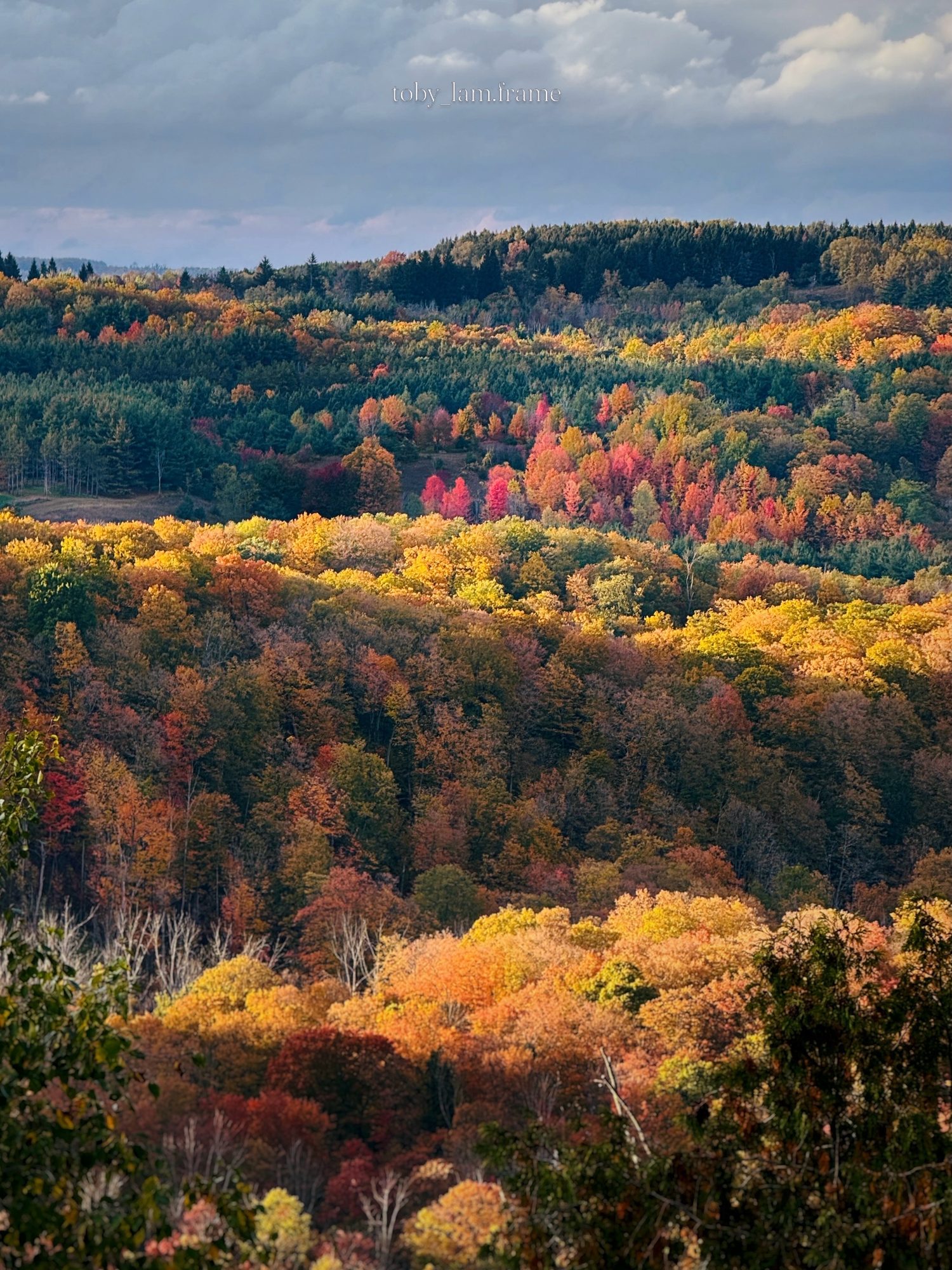 Fall colour at Forks of the Credit, Escarpment, 15 days ago